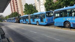 Festival Petronio Álvarez | Conozca los desvíos en nueve rutas del MIO por la carrera del Pacífico y el desfile de Colonias en fin de semana en Cali