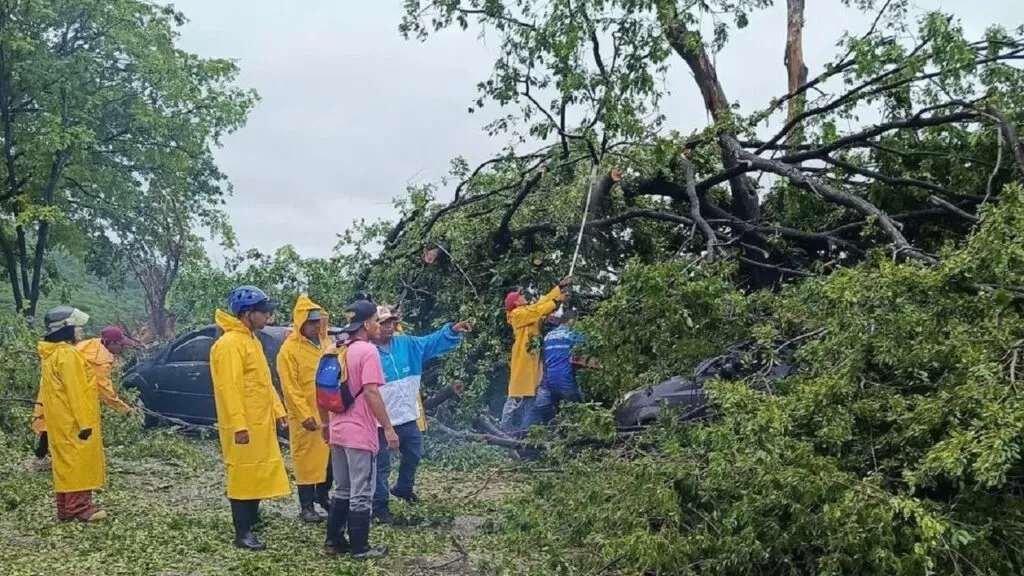Fuerte lluvia provocó anegaciones y caída de árboles en Anzoátegui