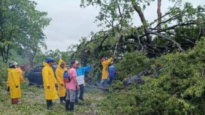 Fuerte lluvia provocó anegaciones y caída de árboles en Anzoátegui