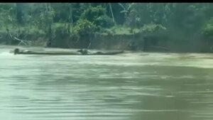 Fuerzas navales frustran ataque con embarcación explosiva en el río Guaviare: no se registran víctimas