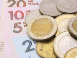 Gasto primario del Presupuesto 2026 será más ‘moderado’, según Minhacienda | Gobierno | Economía