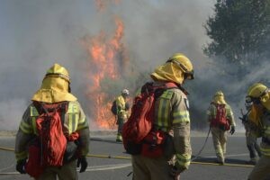 Hasta 19 incendios activos requieren la ayuda del Estado, a la que se sumarán dos aviones italianos | europapress.es