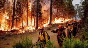 Hay miles de personas evacuadas por incendios en California