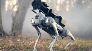 Hong Kong enfrenta al virus chikungunya con un ejército de drones y perros robot
