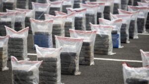 Incautan en Colombia cinco toneladas de cocaína destinadas a Europa y Centroamérica | elperiodico.com