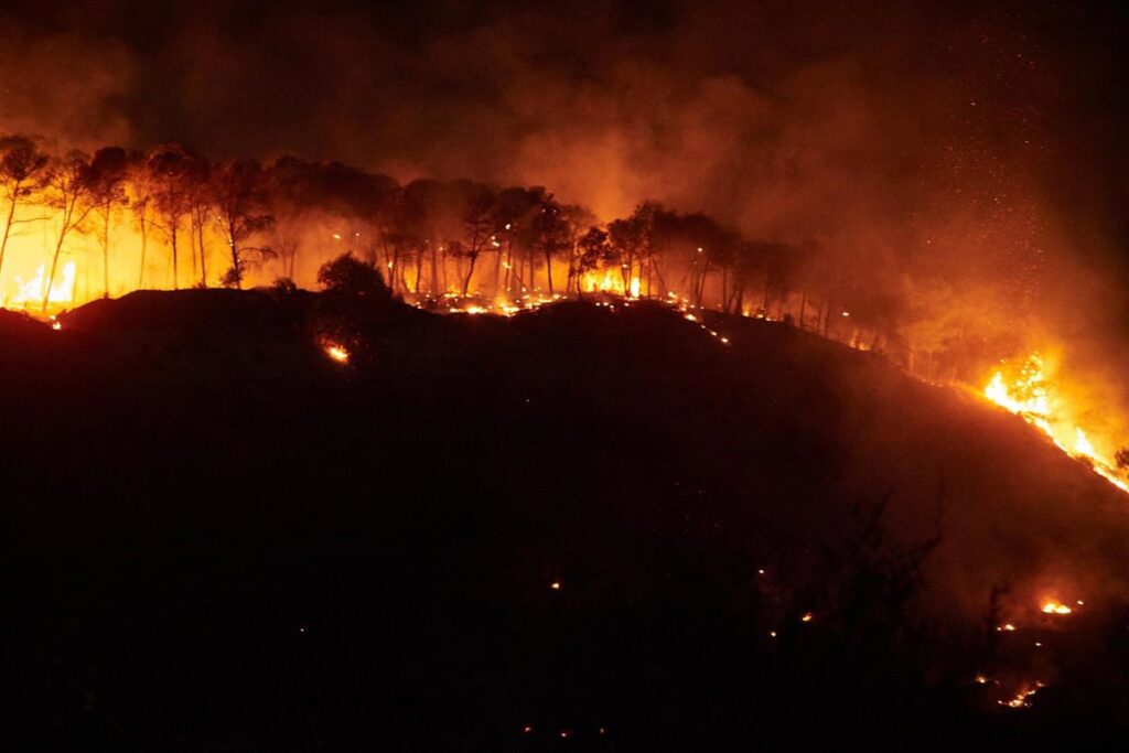 Incendios en España | Directo: El Gobierno activa la fase de preemergencia ante los múltiples incendios