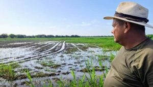 Inundaciones en Portuguesa ponen en riesgo abastecimiento