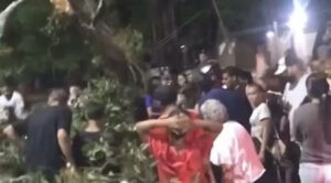 Joven delivery muere al caerle un árbol encima en Naguanagua