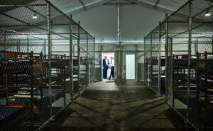 Jueza frena la construcción del centro migratorio ‘Alligator Alcatraz’, en Florida