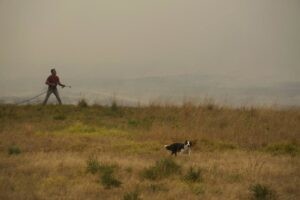 La bajada de temperatura alivia, aunque siguen activos los grandes incendios | europapress.es