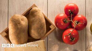 La hazaña evolutiva a la que le debemos las papas (y por qué no existirían si no fuera por los tomates)