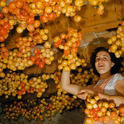 La insólita historia del tomate: lo creían venenoso y hoy es base de cientos de platos