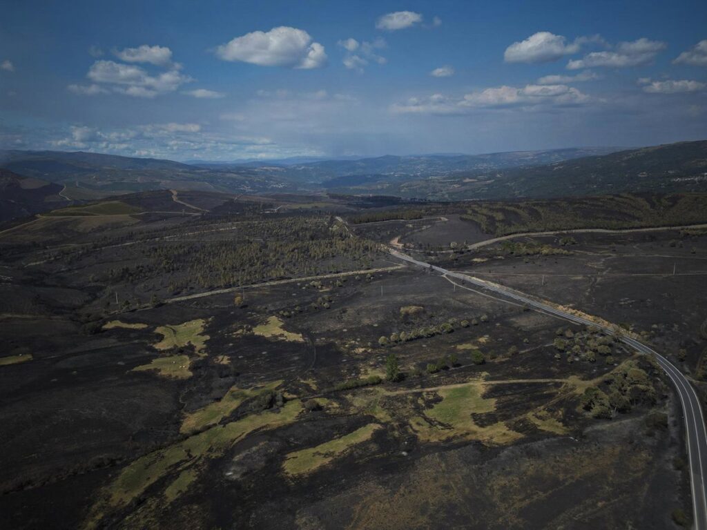 La meteorología ayuda en la extinción del fuego aunque aún quedan activos más de una veintena de incendios graves