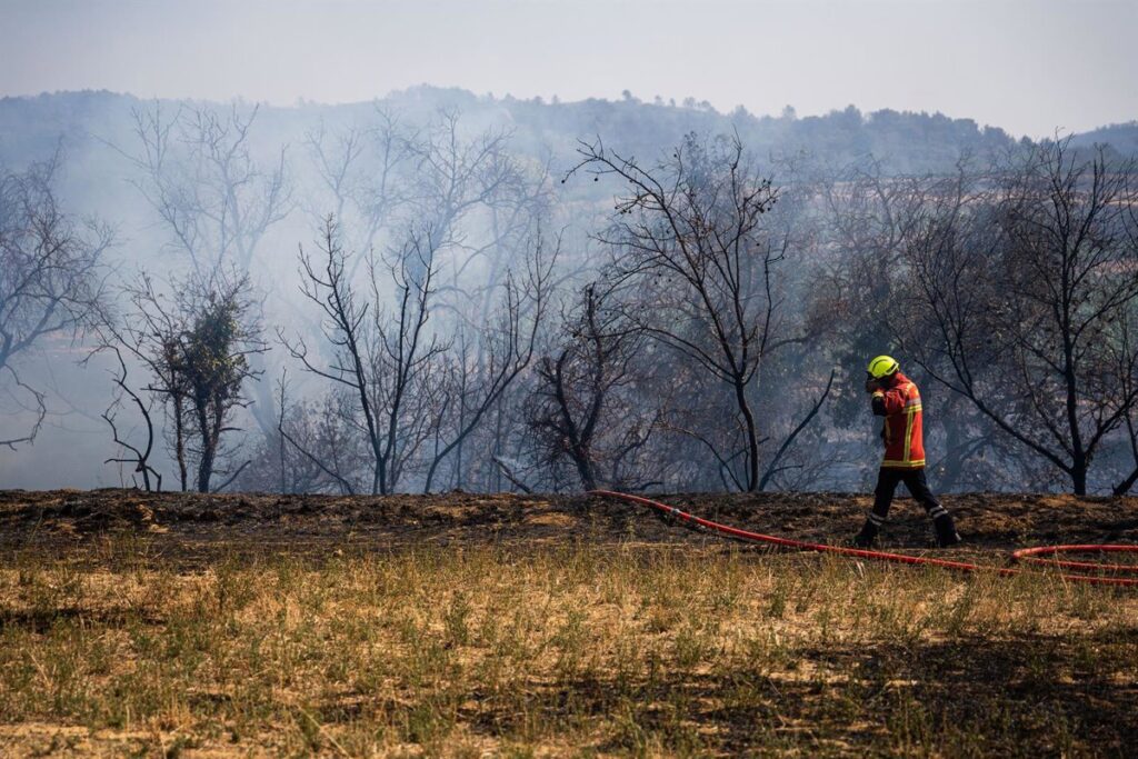 Las autoridades dan por "contenido" el incendio en el sureste de Francia