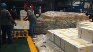?Llegaron a Venezuela 226 mil dosis de vacunas contra la fiebre amarilla