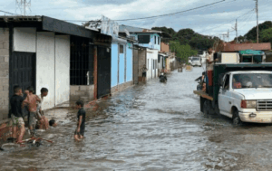 Lluvias en los llanos siguen incrementando nivel del Orinoco
