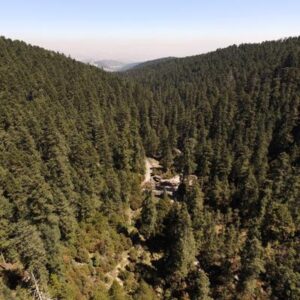 Los 5 hechos que no sabías del Desierto de los Leones, el primer Parque Nacional de México