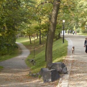 Los beneficios de caminar: guía para elegir el estilo ideal entre las tendencias virales
