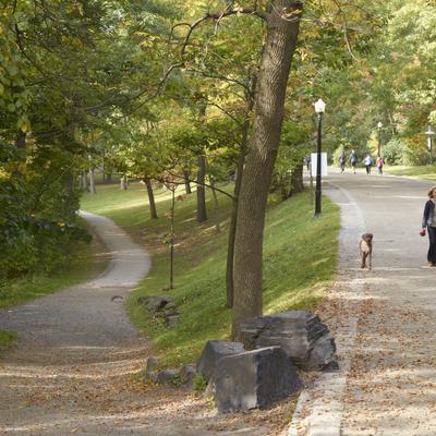 Los beneficios de caminar: guía para elegir el estilo ideal entre las tendencias virales