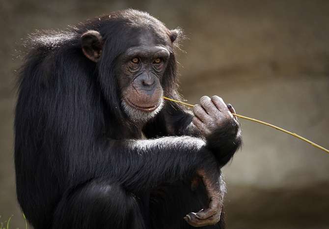 [Img #76636]