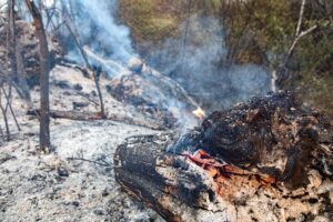Los desalojados por el incendio de Tres Cantos comienzan a regresar a sus viviendas | europapress.es