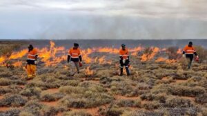 Los guardabosques queman el desierto en Australia para evitar que se propaguen incendios destructivos | elperiodico.com