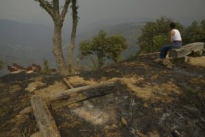 Los incendios avanzan sin control en Ourense, Zamora y Cáceres, sin tregua por las altas temperaturas | europapress.es