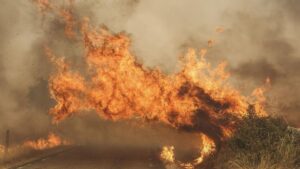Los incendios forestales se cobran la cuarta víctima mortal en Portugal