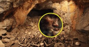 Los paleontólogos hallan pruebas irrefutables de que se practicó el canibalismo infantil en Atapuerca