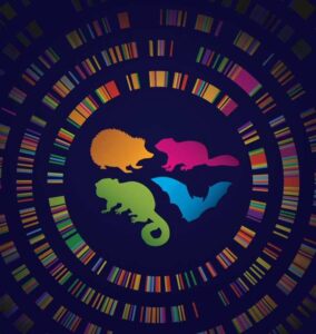 Los “superpoderes” de la hibernación podrían estar ocultos en el ADN humano