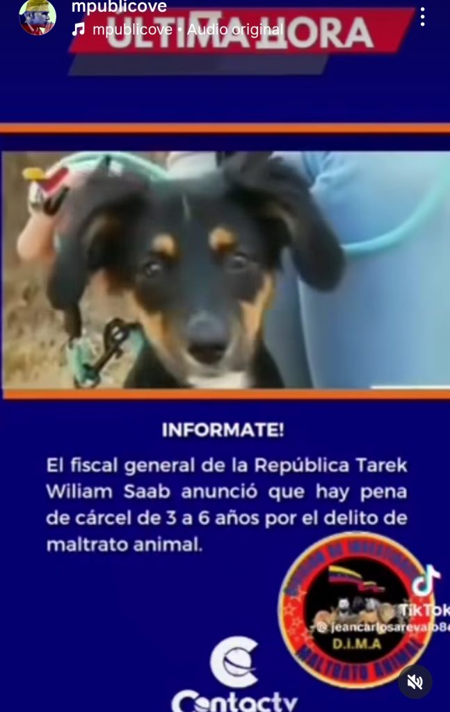 MP venezolano sancionará el maltrato animal con hasta tres y seis años de cárcel