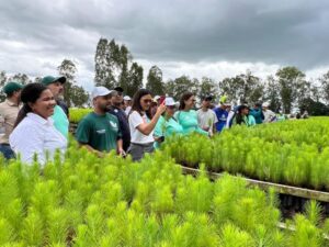 Maderas del Orinoco realizó el 1er Taller de Producción de Plántulas junto al MINEC