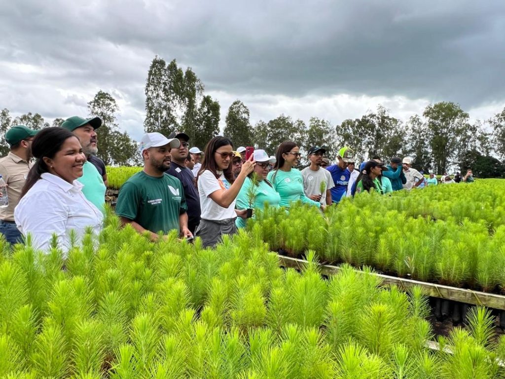 Maderas del Orinoco realizó el 1er Taller de Producción de Plántulas junto al MINEC