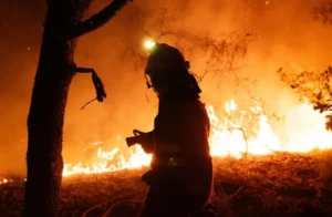 Más de 382 mil hectáreas se han incendiado en España este año