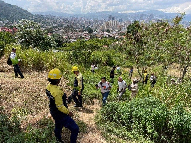 Más de 74 mil plantas sembradas en jornada de reforestación