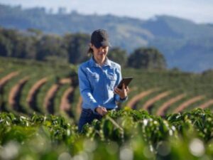Metas del Plan Nacional de Desarrollo en el agro muestran avances dispares | Gobierno | Economía