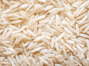 Minagricultura emite resolución que regula el precio del arroz verde | Gobierno | Economía