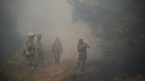 Muere un hombre por un incendio en el norte de Portugal | elperiodico.com