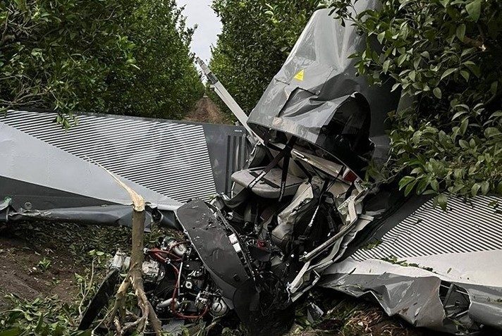 Mujer aceptó una propuesta de matrimonio justo antes de que su avioneta se estrellara (VIDEO)