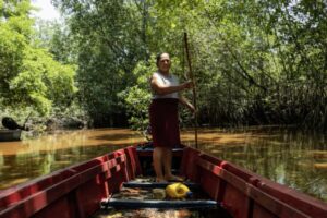 Mujeres restauran y enfrentan el cambio climático en el Pacífico guatemalteco – IPS Agencia de Noticias