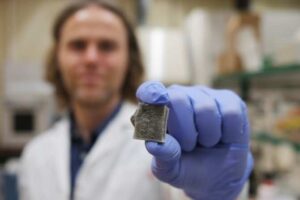 Nuevo material basado en algas capaz de generar electricidad y prevenir incendios