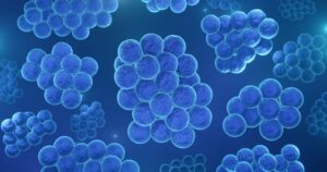 Nuevos medios encontrados para tratar las infecciones por estafilococos en sangre – AlbertoNews