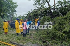 Onda Tropical N° 29 dejó cuatro vehículos afectados por la caída de árboles en la zona norte de Anzoátegui