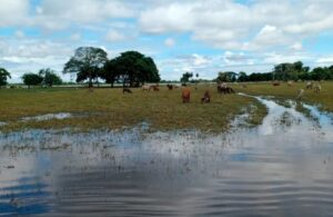 Ondas tropicales amenazan con agravar la emergencia en Barinas por las intensas lluvias