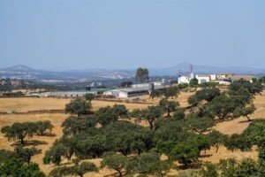 PSOE pide que las CCAA «complementen» las inversiones del Estado para fomentar el comercio electrónico en el medio rural | europapress.es