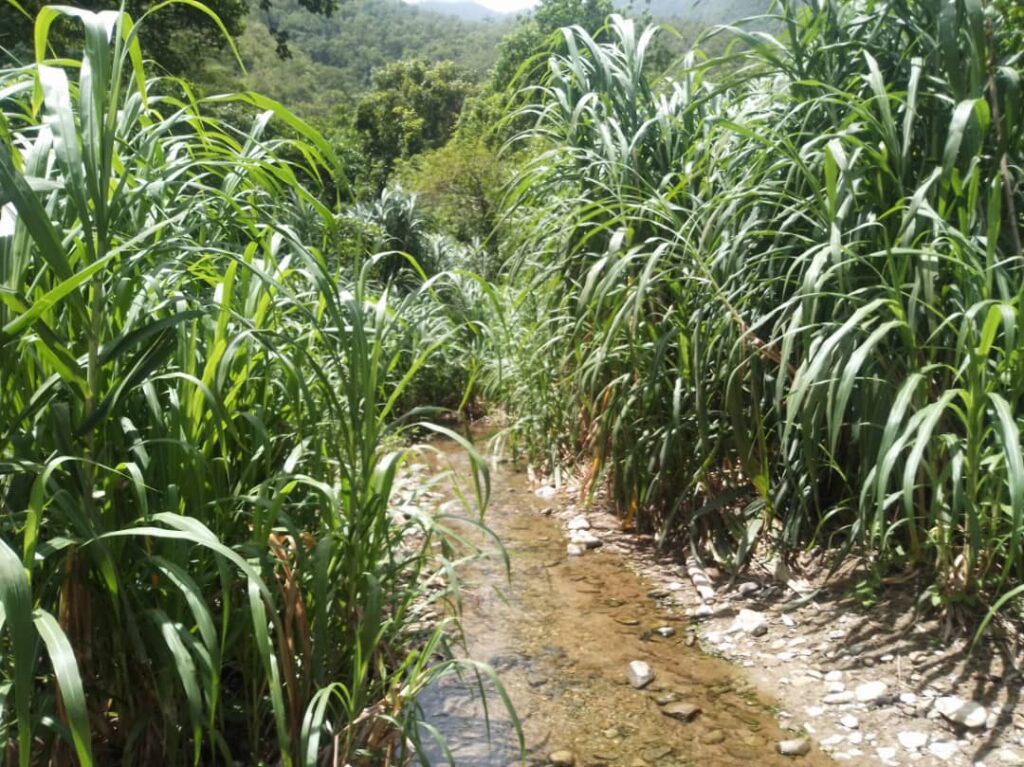 Piden charla de concientización para entrar al río La Veguita