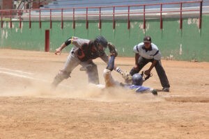 Regresa el beisbol de adultos al César Nieves