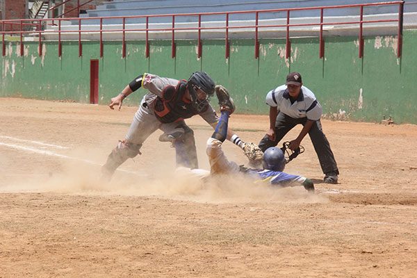 Regresa el beisbol de adultos al César Nieves