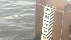 Río Orinoco comenzó a descender