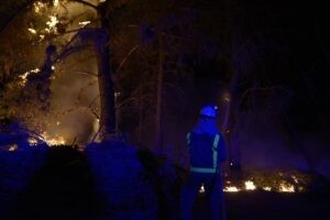 Tres personas detenidas y 22 investigadas por incendios forestales en Galicia | europapress.es